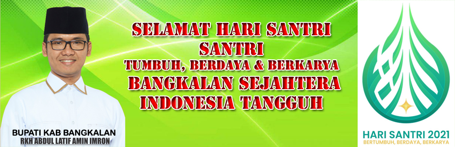 iklan web HSN